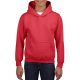 HEAVY BLEND™ YOUTH HOODED SWEATSHIRT